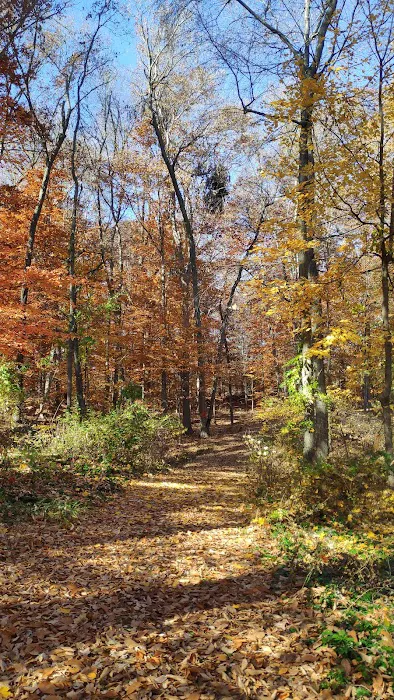 Briarcliff Trail Picture 6