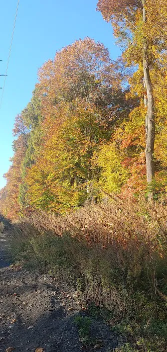 Briarcliff Trail Picture 1