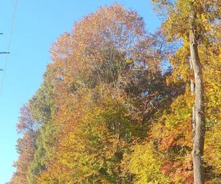 Briarcliff Trail