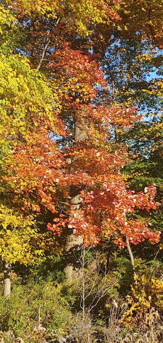 Briarcliff Trail Picture 4