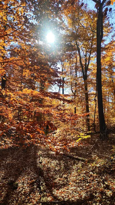 Briarcliff Trail Picture 3