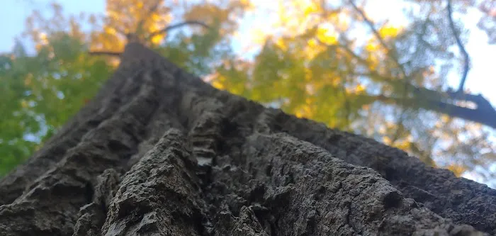 Briarcliff Trail Picture 2