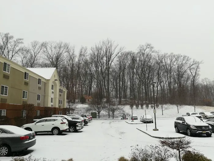 Sonesta Simply Suites Parsippany Morris Plains Picture 10