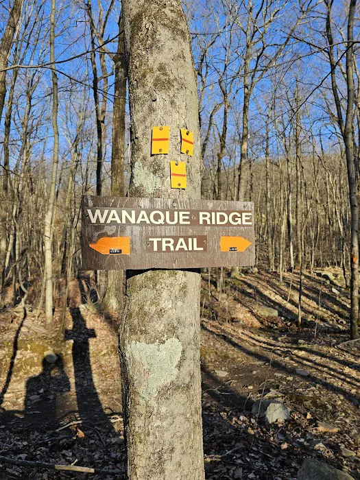 Orange & RY Trail Intersection Picture 10