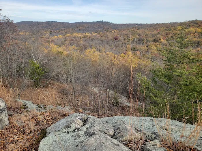 Wanaque Ridge Picture 5