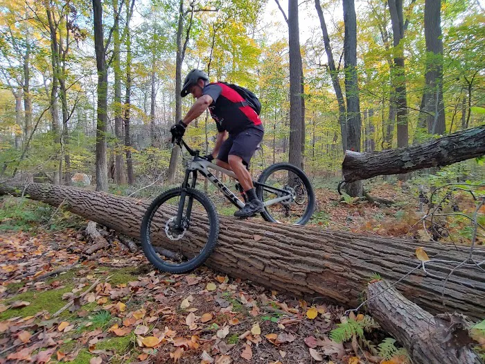 Wanaque Ridge Picture 10
