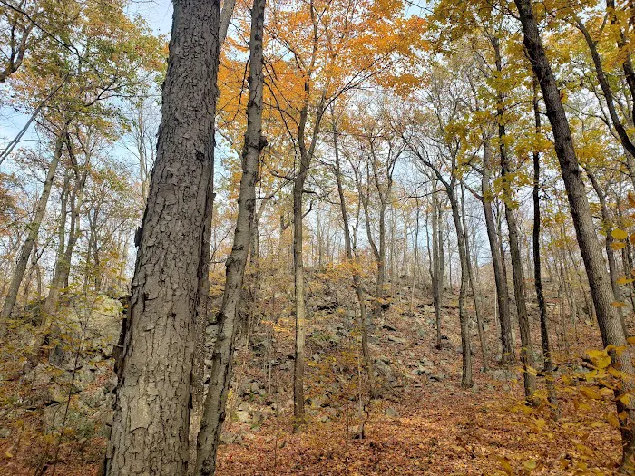 Wanaque Ridge Picture 3