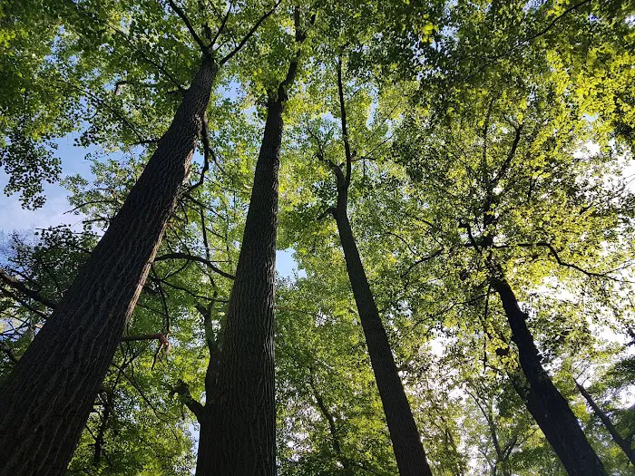 Wanaque Ridge Picture 7