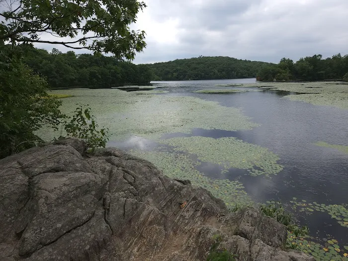 Back Beach Park Picture 3