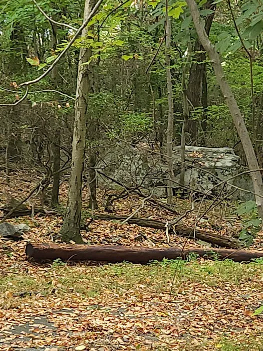 Back Beach Park Picture 2