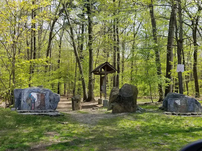 Back Beach Park Picture 10