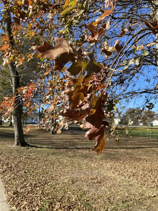 Washington Park Picture 3