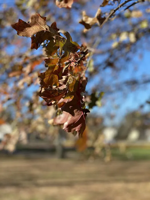 Washington Park Picture 2