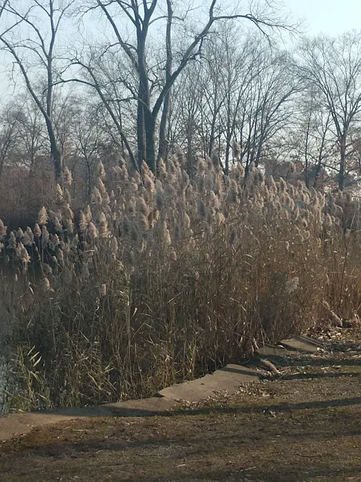 Washington Park Picture 9