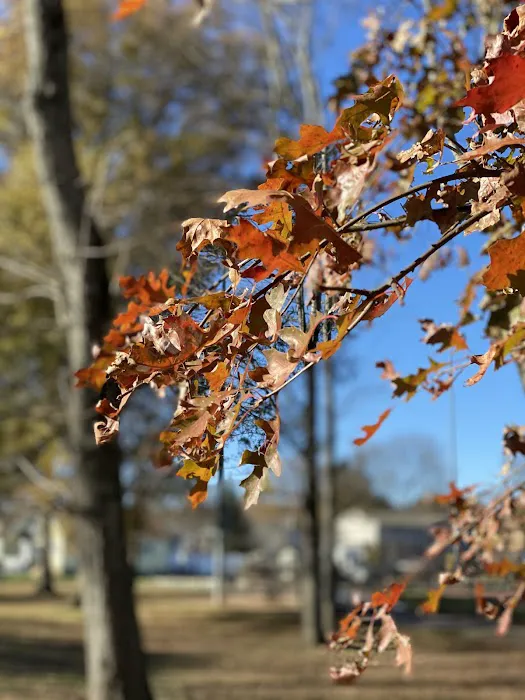 Washington Park Picture 1