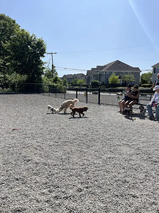 Wanaque Dog Park Picture 1