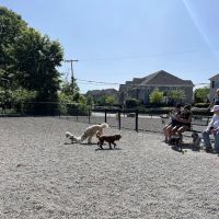Wanaque Dog Park ico