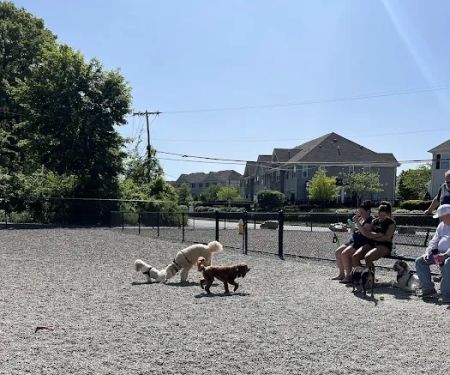 Wanaque Dog Park