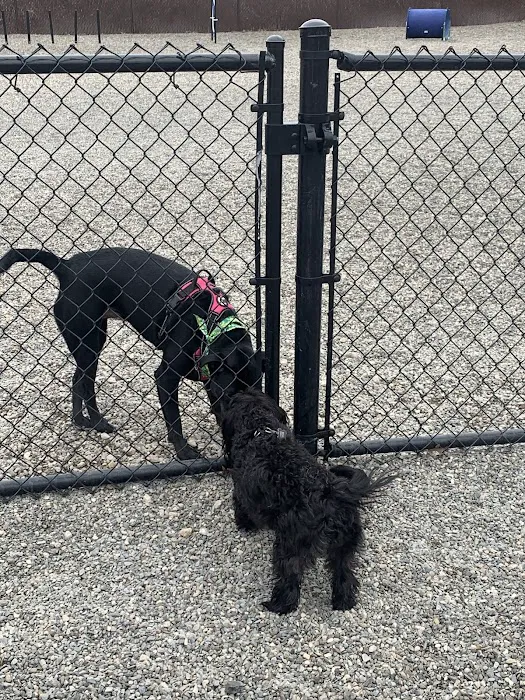 Wanaque Dog Park Picture 6