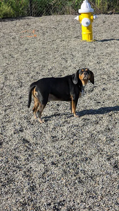 Wanaque Dog Park Picture 8