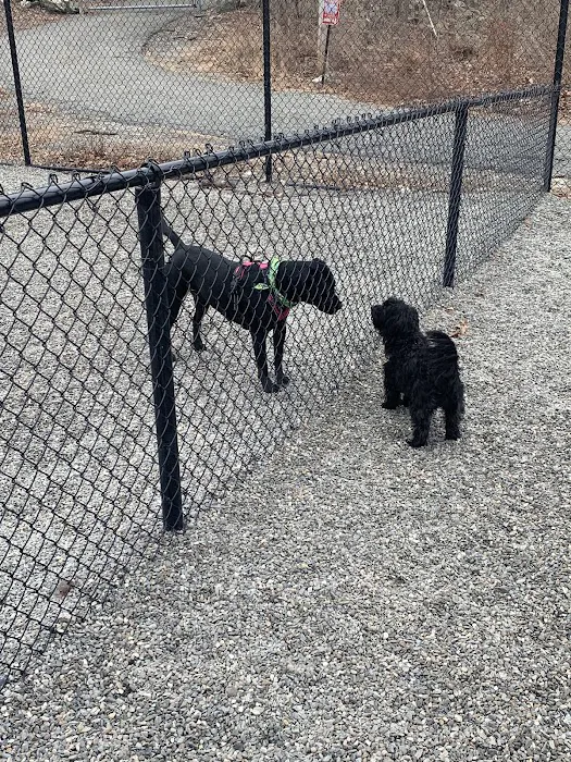 Wanaque Dog Park Picture 3