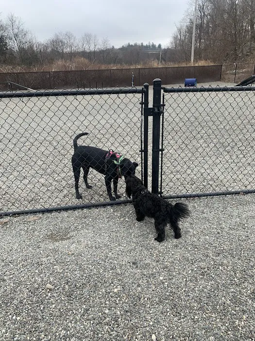 Wanaque Dog Park Picture 5