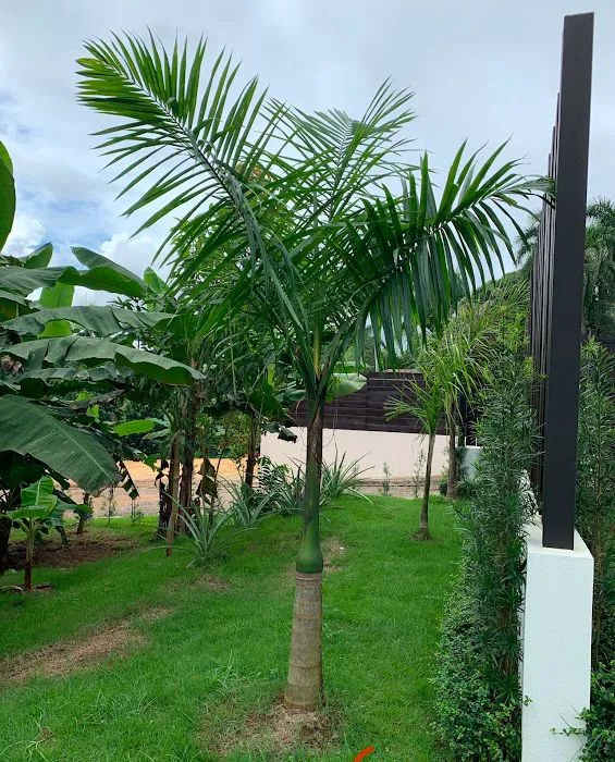 Villa Mandarina Oasis Picture 9