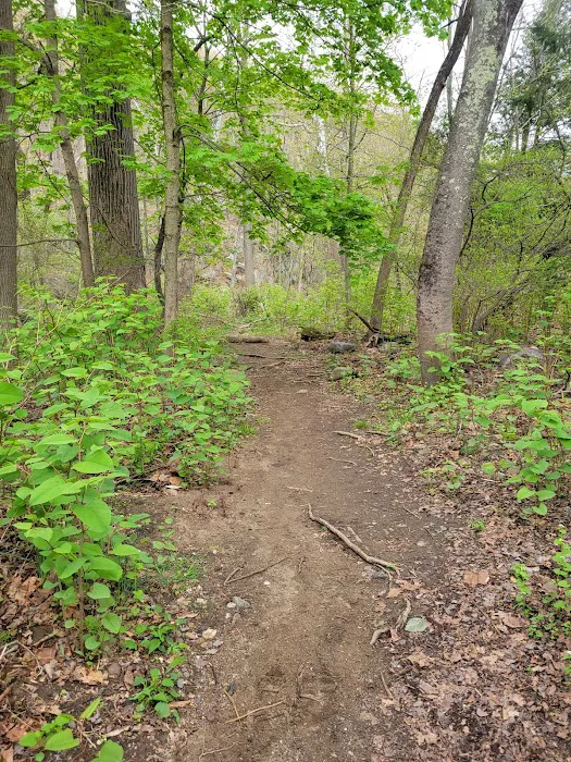 Appelt Park Picture 9