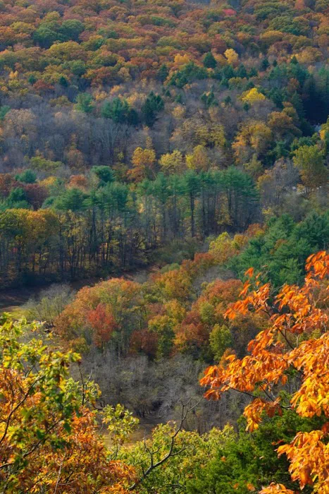 Windbeam Mountain Picture 2