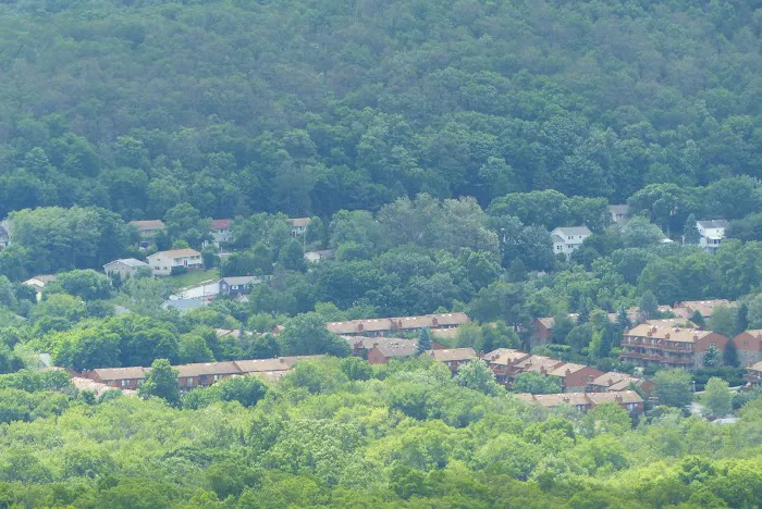 Windbeam Mountain Picture 8