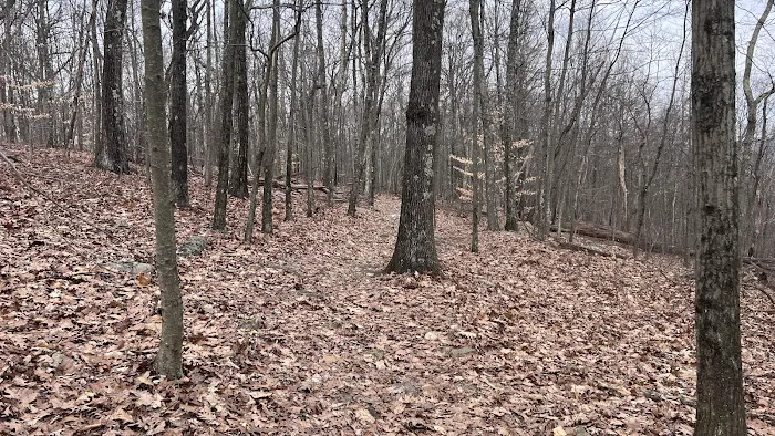 Green Trail Crossing Picture 5