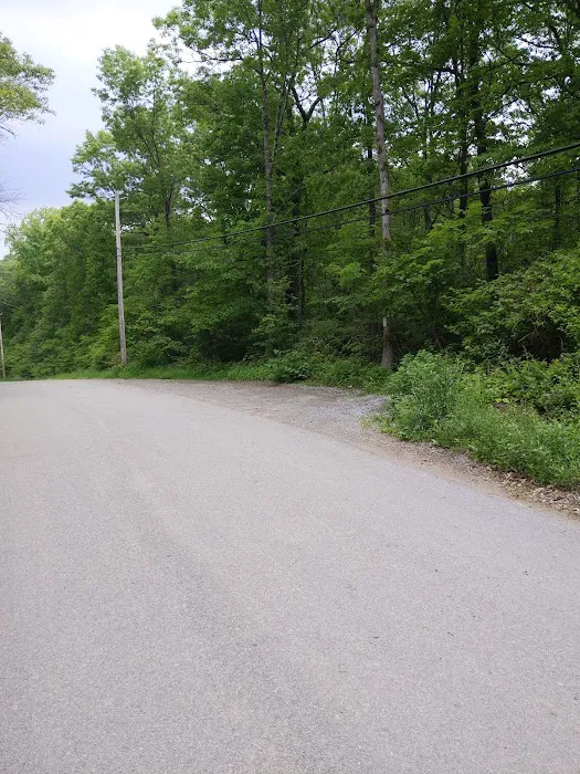 Green Trail Crossing Picture 4
