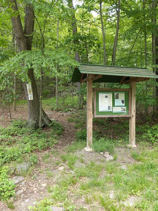 Green Trail Crossing Picture 7