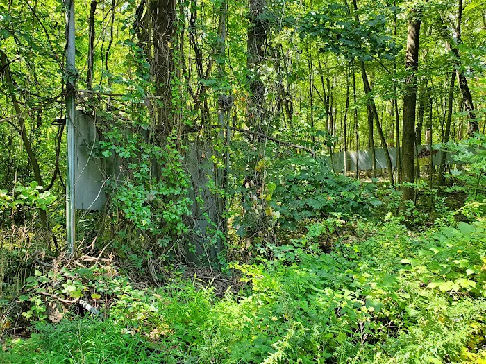 Former lion enclosure of Jungle Habitat Picture 2