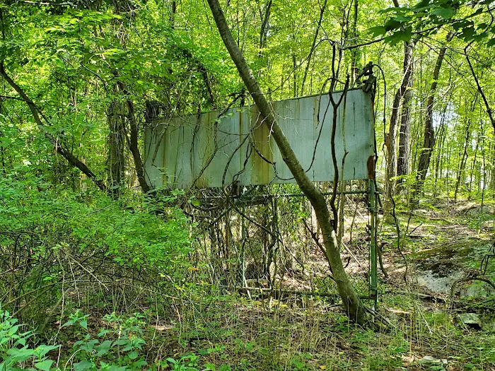 Former lion enclosure of Jungle Habitat Picture 1