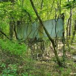 Former lion enclosure of Jungle Habitat