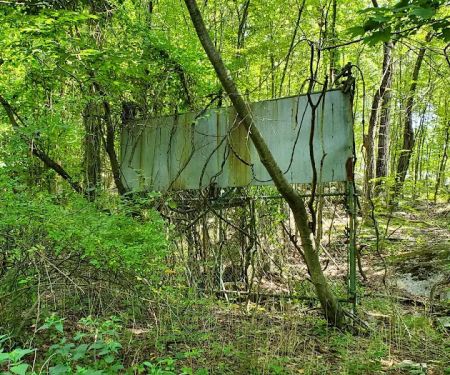 Former lion enclosure of Jungle Habitat