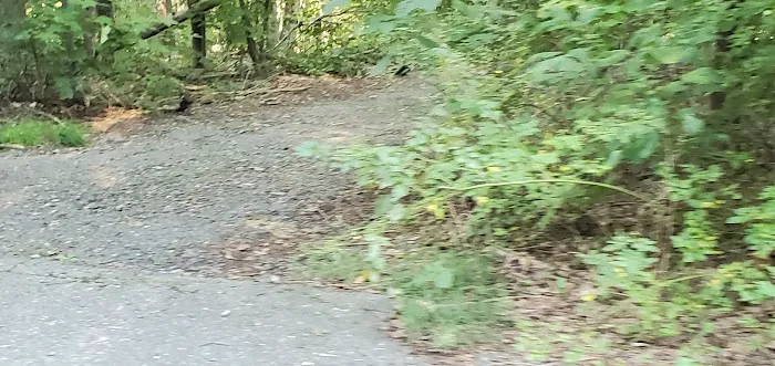 Long pond iron works State Park Picture 4