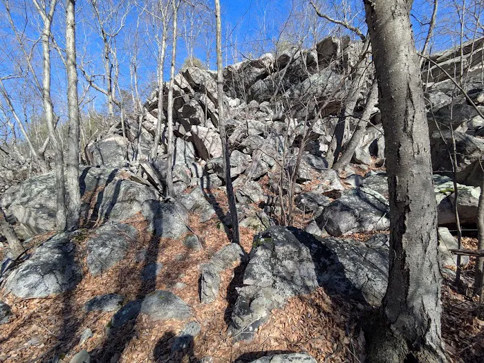 Tory Rocks Property Picture 5