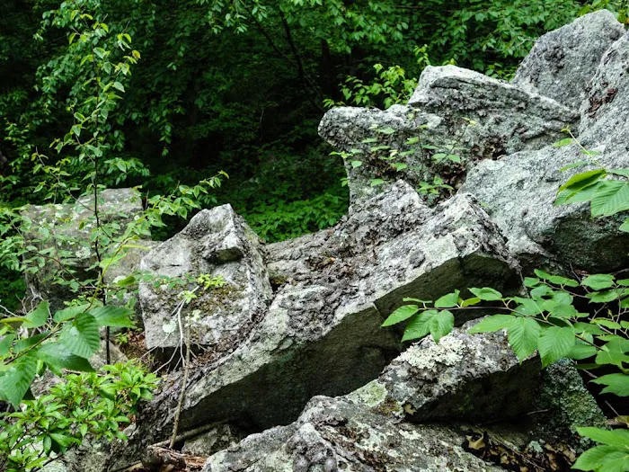 Tory Rocks Property Picture 2