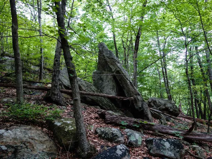 Tory Rocks Property Picture 3