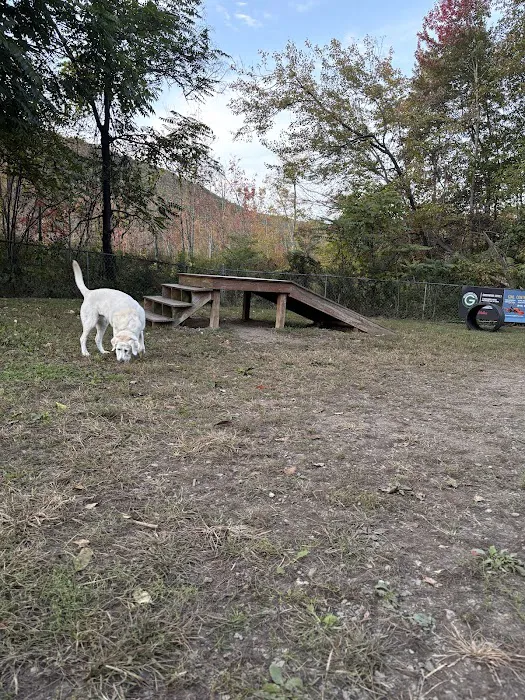 Greenwood Lake Bark Park Picture 5