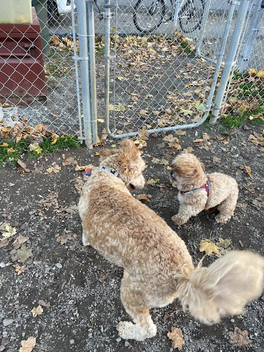 Greenwood Lake Bark Park Picture 2