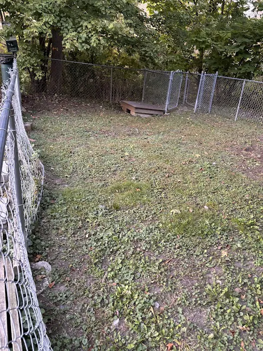 Greenwood Lake Bark Park Picture 4