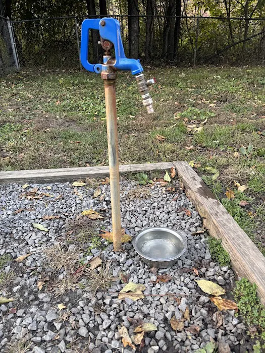 Greenwood Lake Bark Park Picture 10