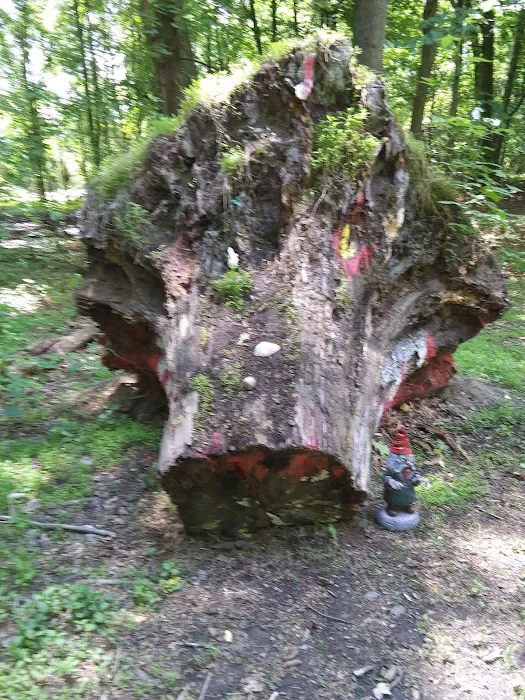 Winstanley Park Picture 9