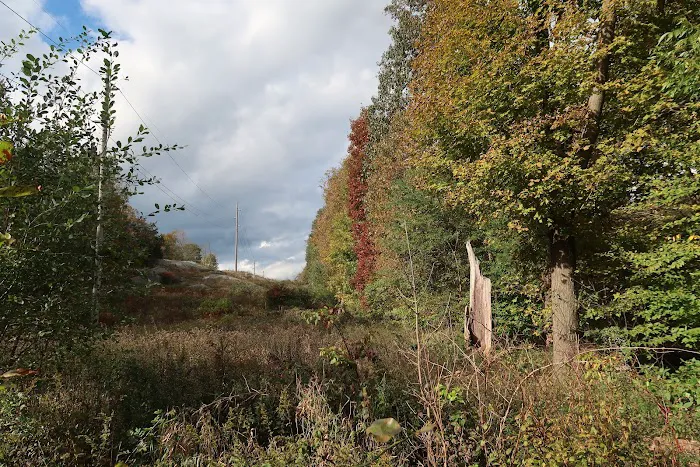 Village Vista Trail Jct. West Picture 1