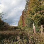 Village Vista Trail Jct. West