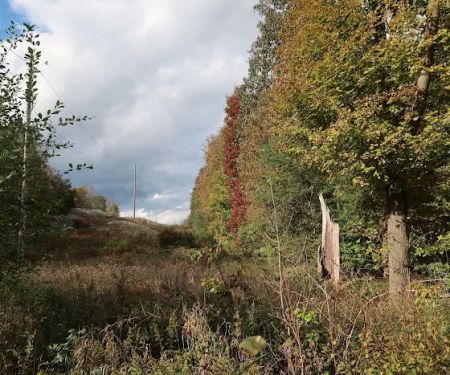Village Vista Trail Jct. West