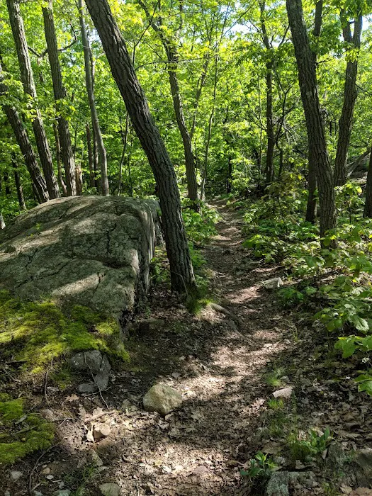 Village Vista Trail Jct. West Picture 9